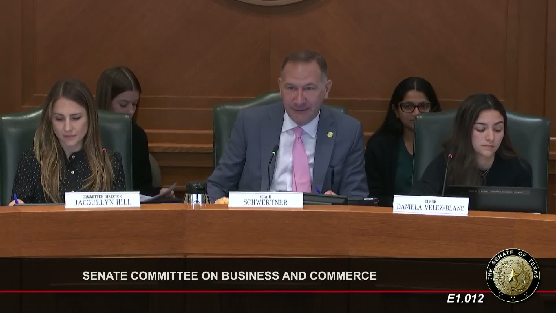 Professor Litman Advocates for HB 4238 to Support Domestic Violence Survivors