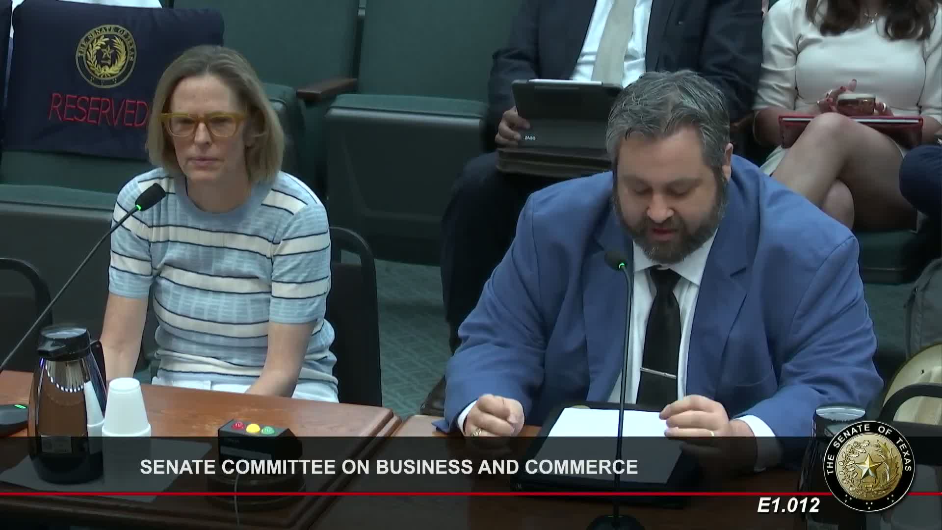 Amanda Brownson addresses budget amendment concerns at Texas Senate committee hearing
