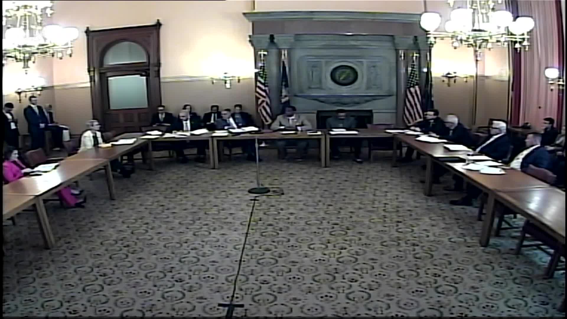 Senate advances renewable hydrogen incentive and public service law bills