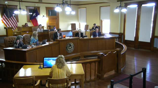 Bluebonnet Trails outlines mental health initiatives to Williamson County's behavioral health task force