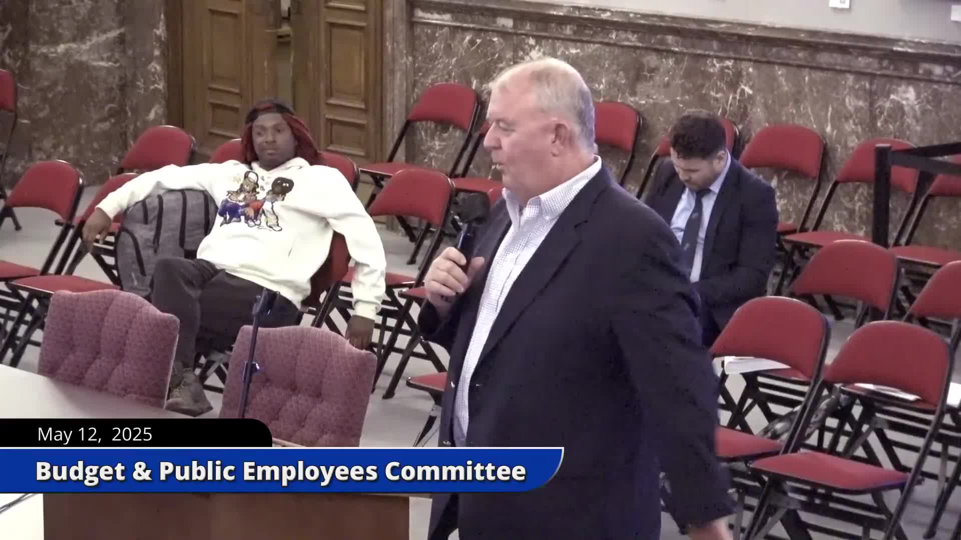 Saint Louis Parks Department secures funding for Tower Grove Park maintenance