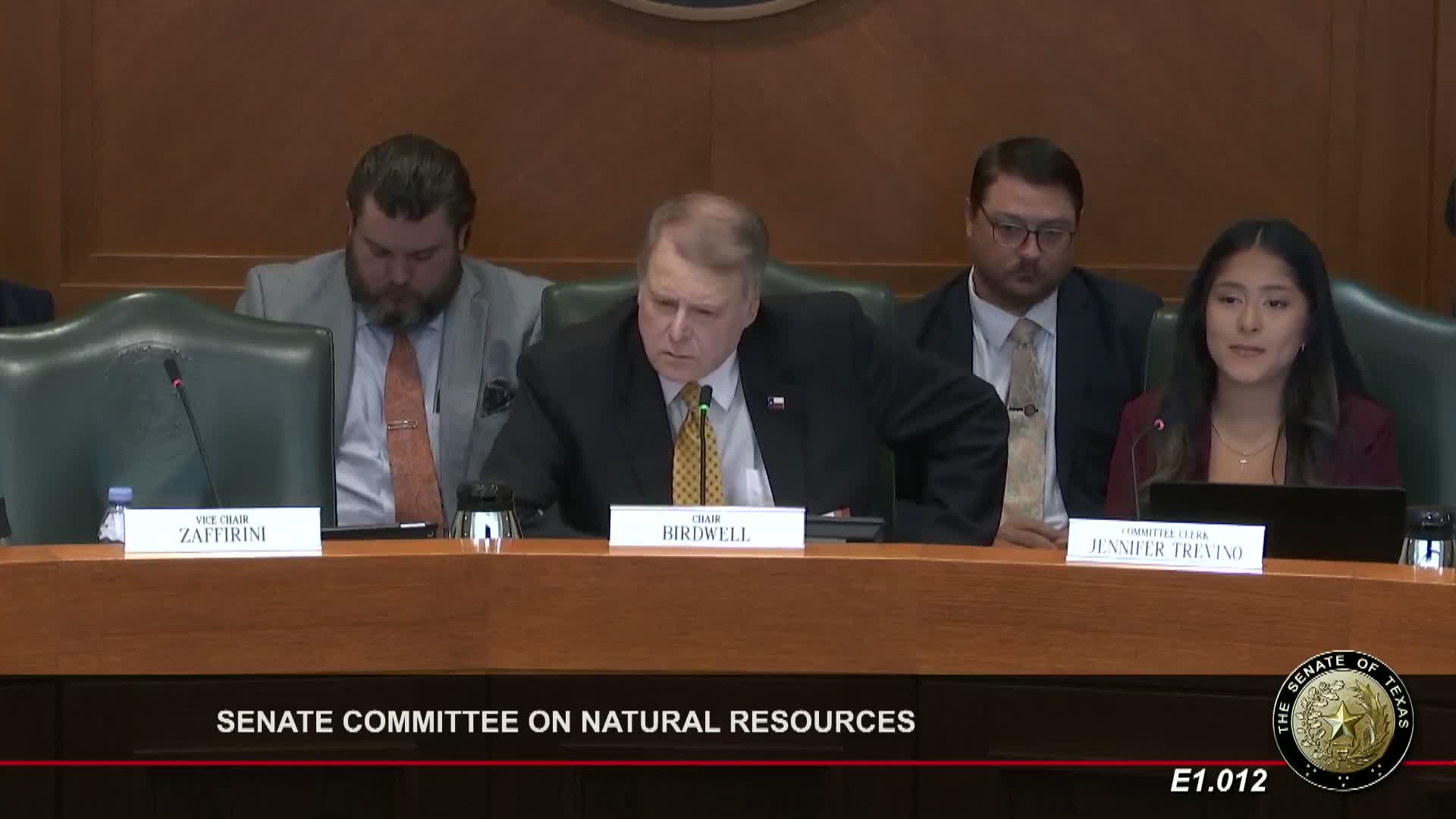 Texas Regulators Examine Ratepayer Cost Recovery Amid Rapid Utility Growth