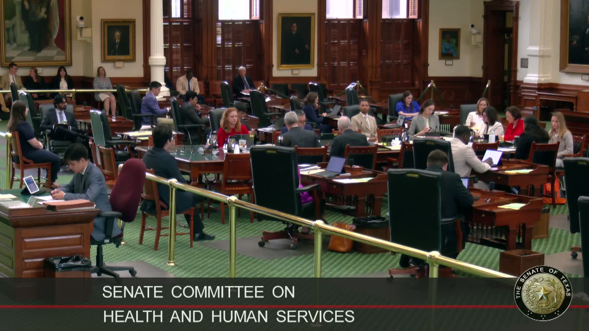 Texas Medical Disclosure Panel bill adds public members to enhance informed consent