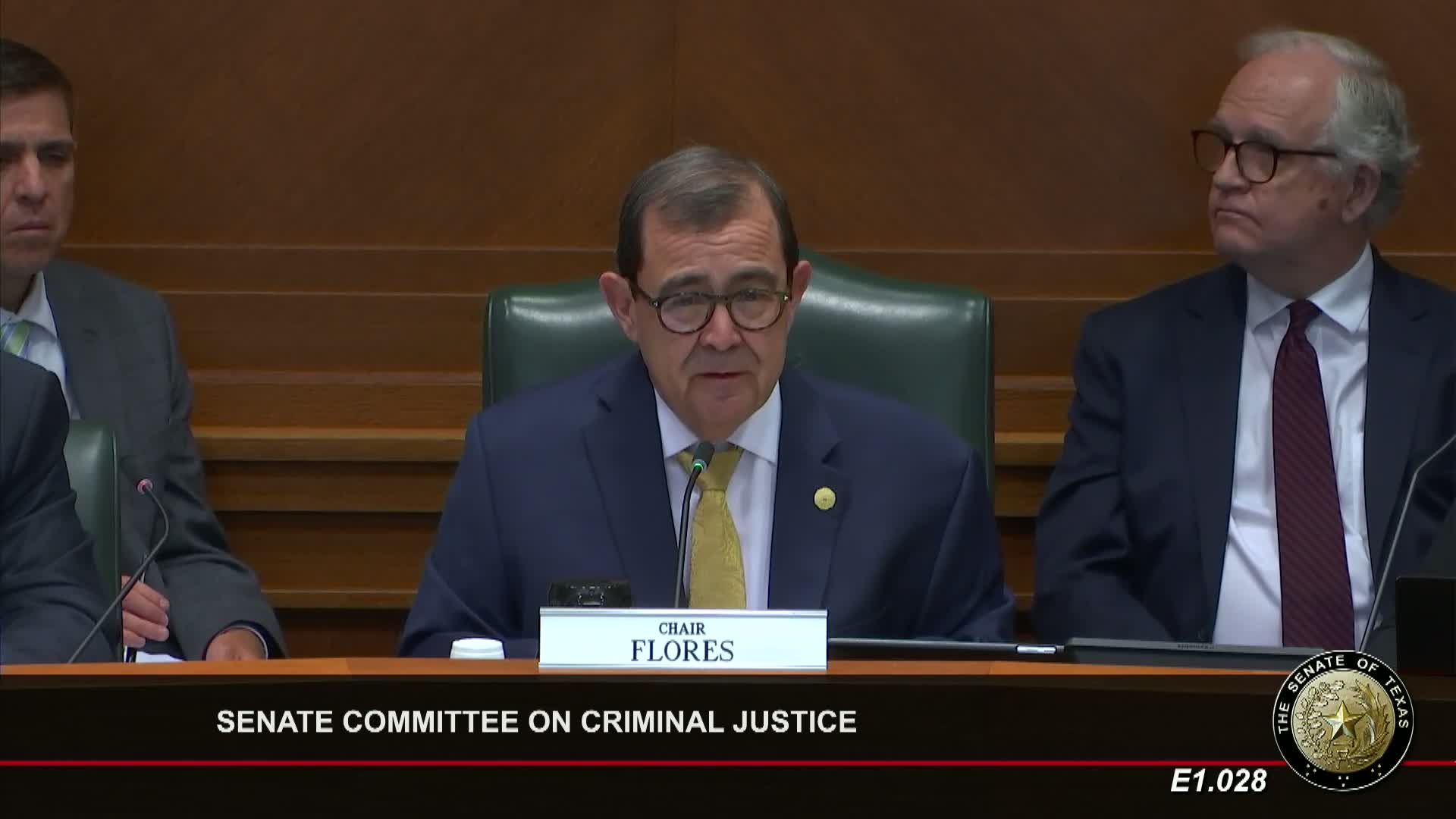 Texas Senate advances SJR 87 despite opposition from Texas Civil Rights Project