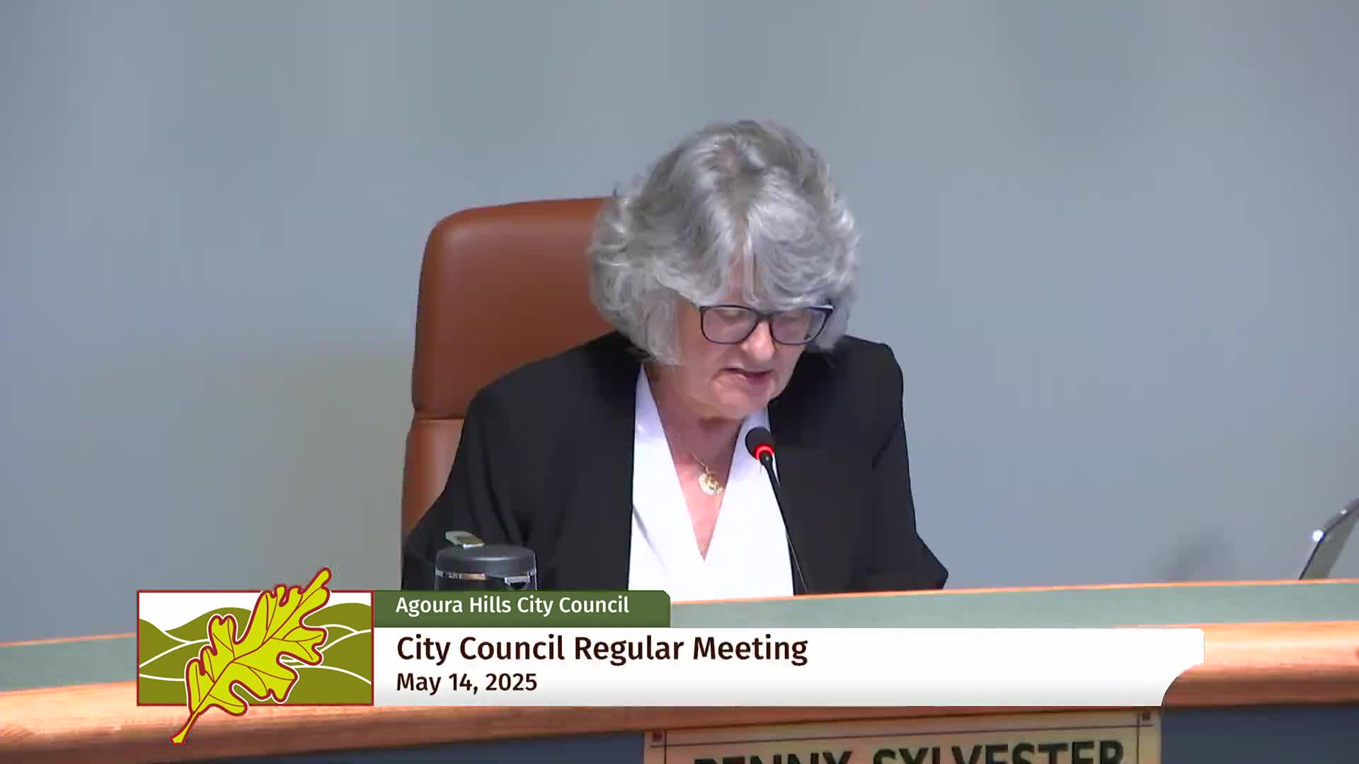 Agoura Hills Council reviews major city website redesign project progress