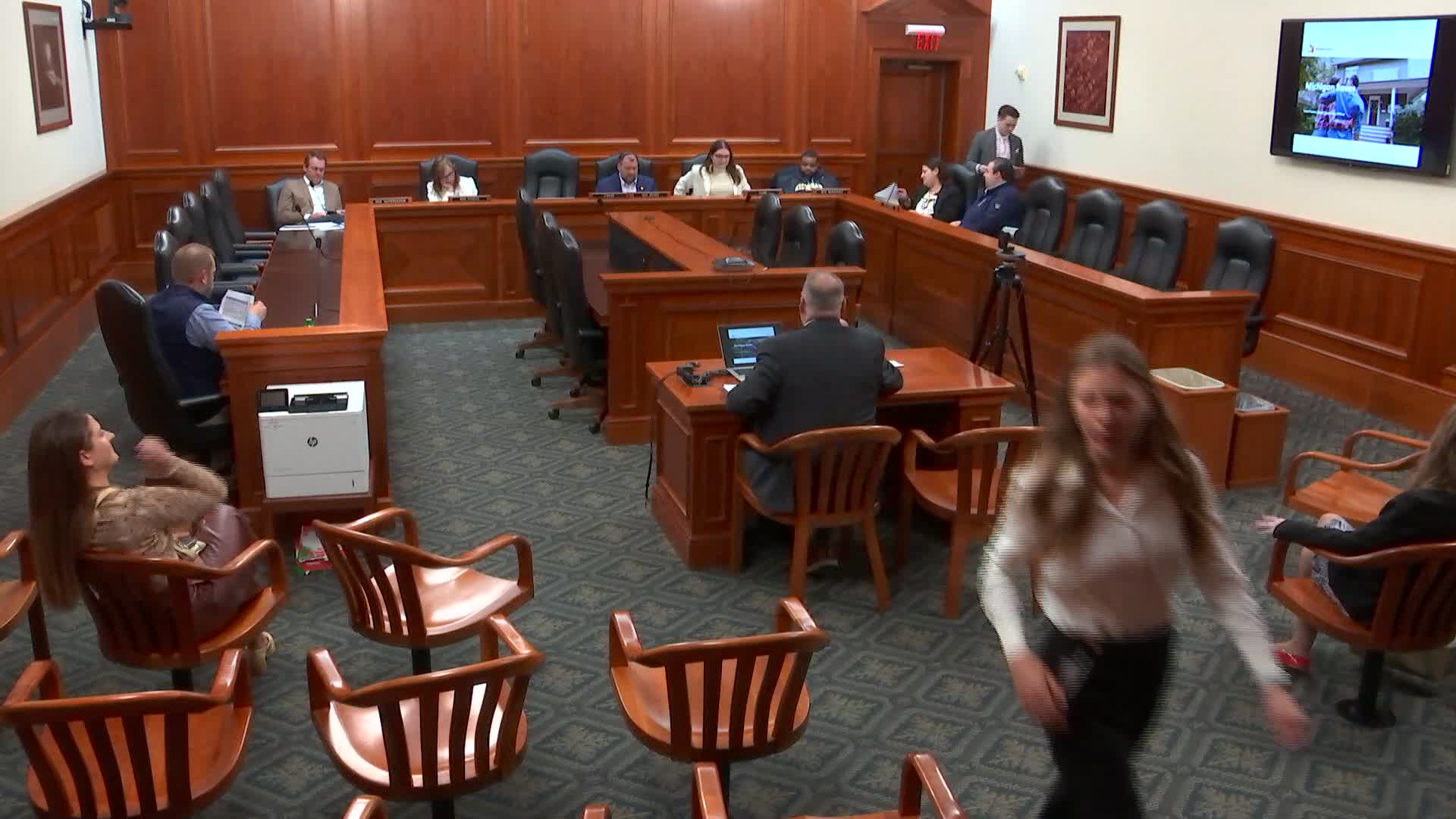 Michigan Saves tells House subcommittee it can leverage $100M+ in loans if state sustains loan‑loss reserve