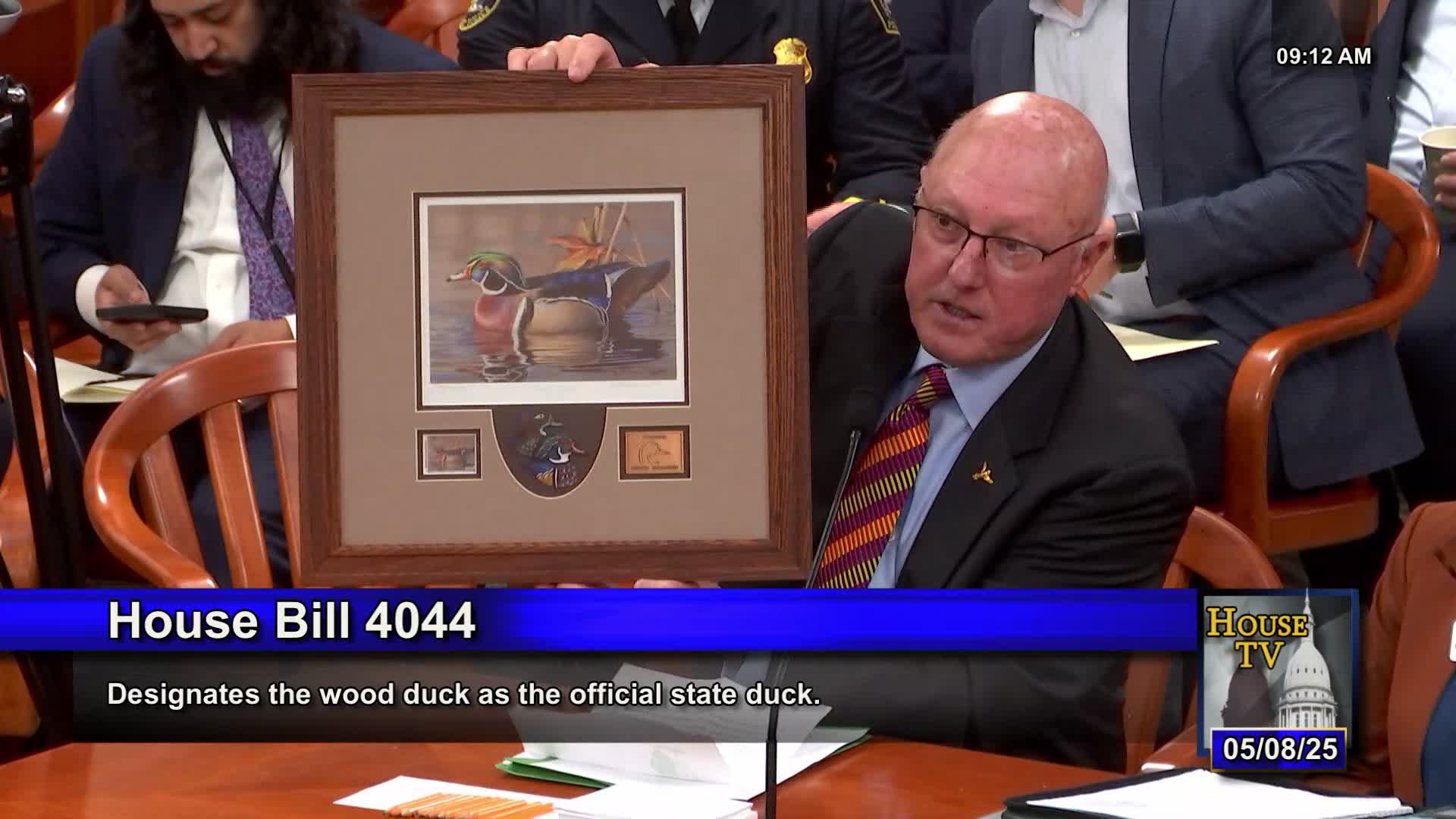 House committee hears case to name wood duck Michigan’s state duck