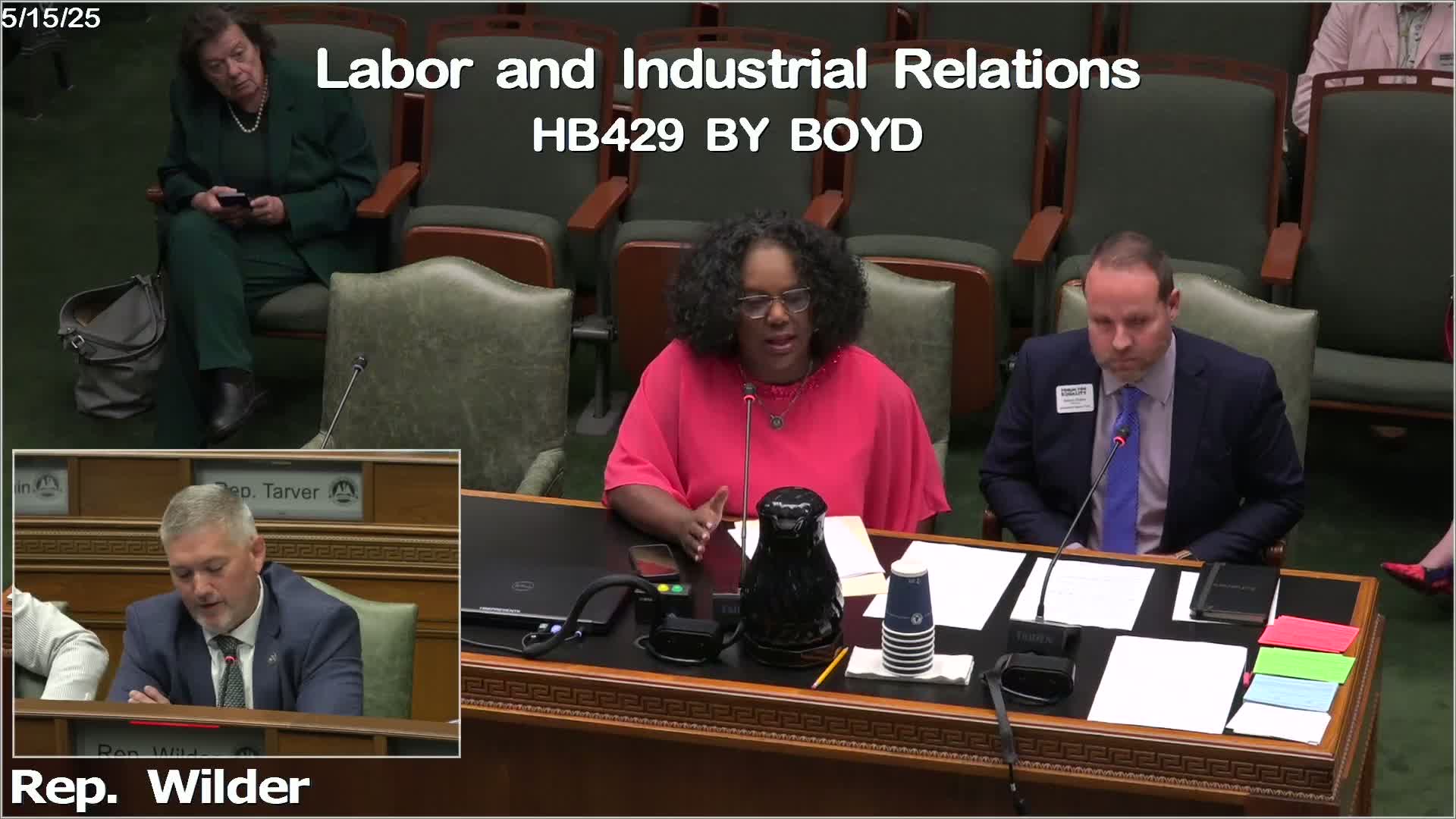 Louisiana Representatives Discuss Job Security Protections for Trans Individuals