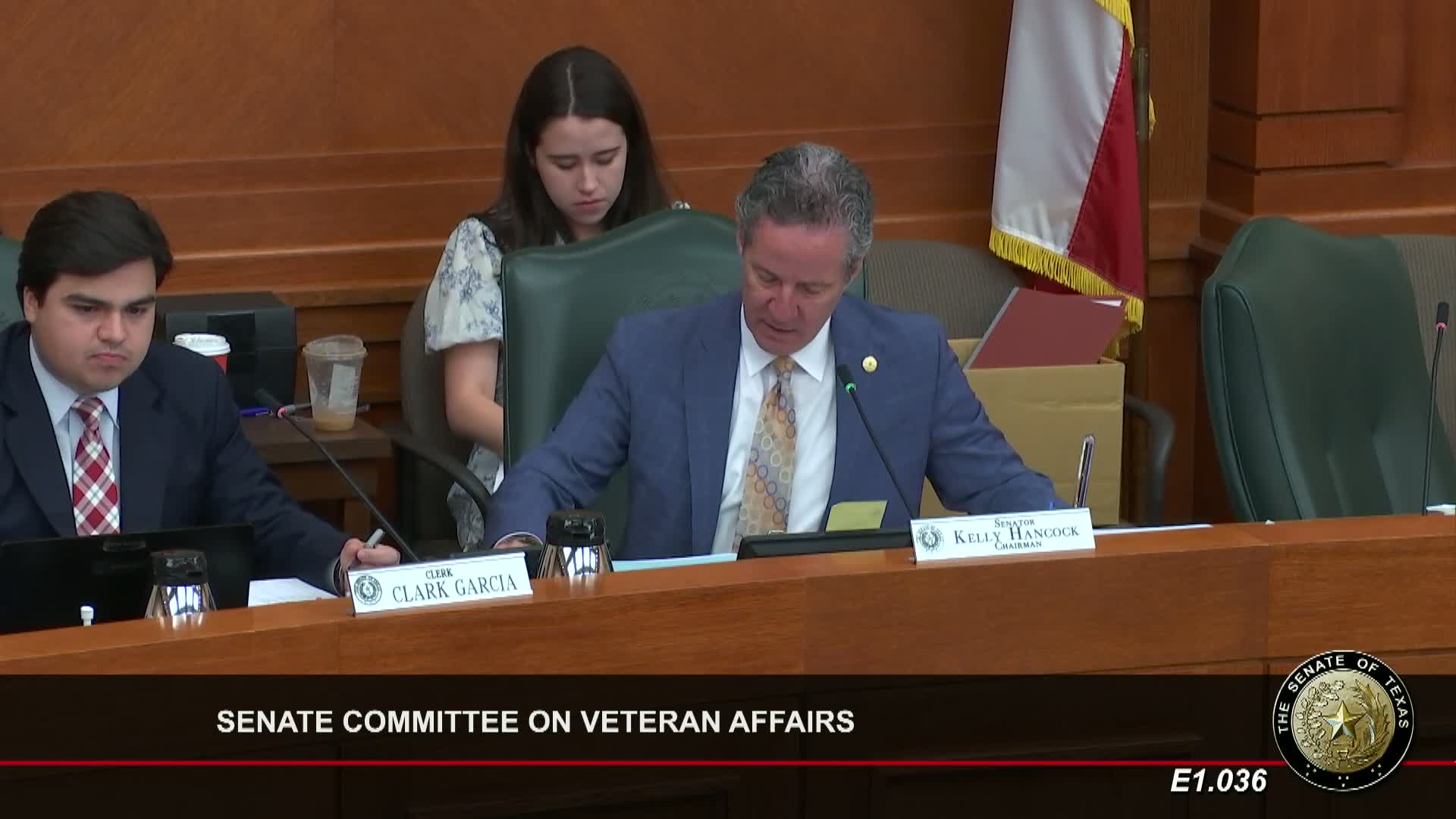 Texas Senate discusses House Bills addressing veterans' cemetery access and suicide data