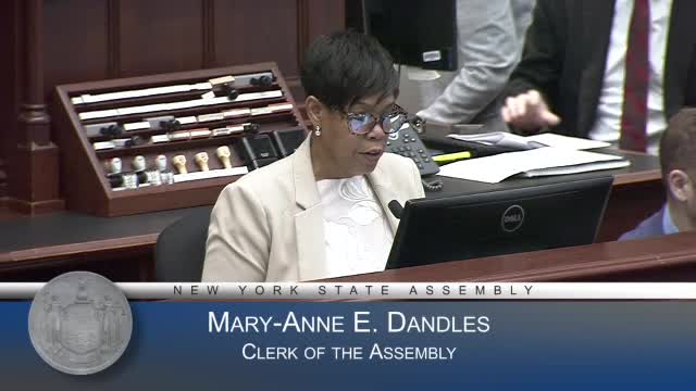 New York Assembly honors police dogs and marks Armed Forces Day with resolutions