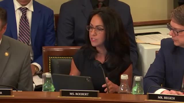 Congressional Hearing Highlights California Wildfire Insurance Crisis and Forest Management Strategies