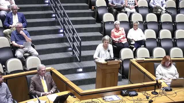 Residents Urge Denial of Third Lot Request at Warren Court Due to Traffic Concerns