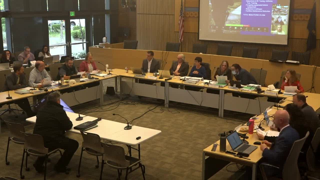 City Budget Committee examines $3M reduction including $1M from police funding