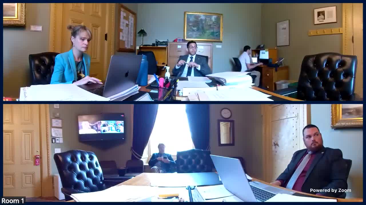 Senate Judiciary debates timelines and added judicial review for S.87 detention procedures