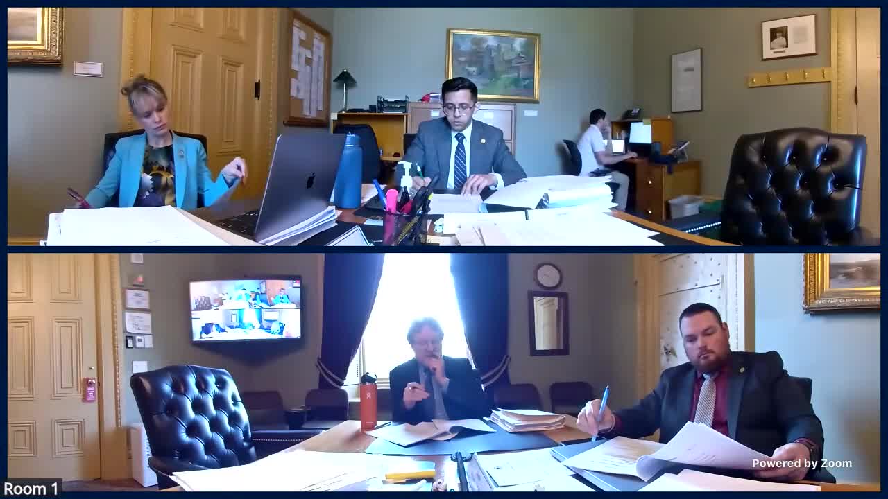 Committee reviews House changes to firearms‑surrender working group membership and consultative list