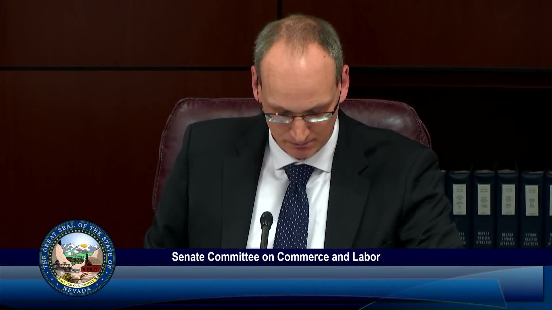 Senate Commerce and Labor advances package of licensing, consumer-protection and housing bills