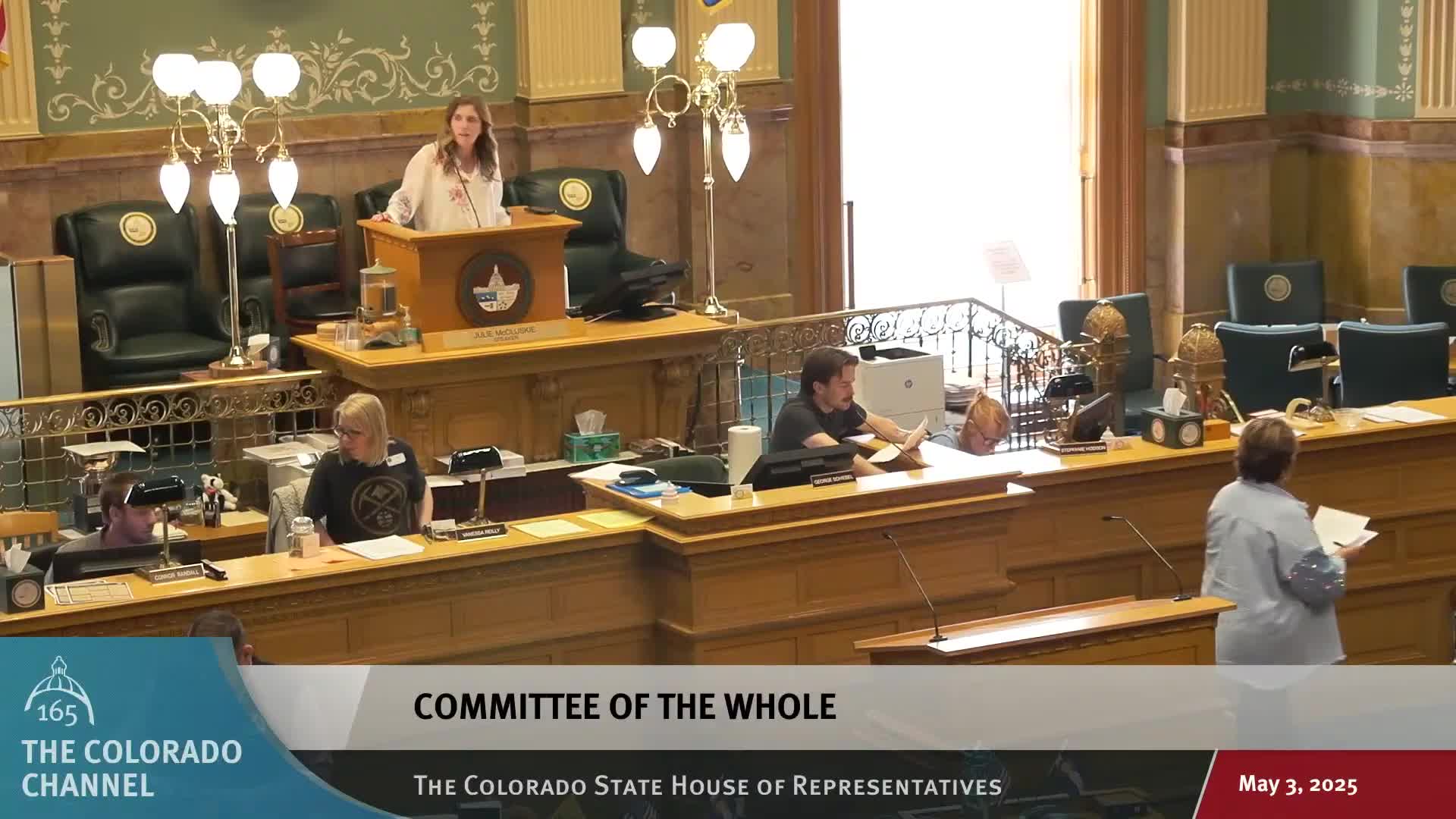 House passes voluntary firearm-purchase waiver for people in crisis after heated debate over ID, privacy and intervention