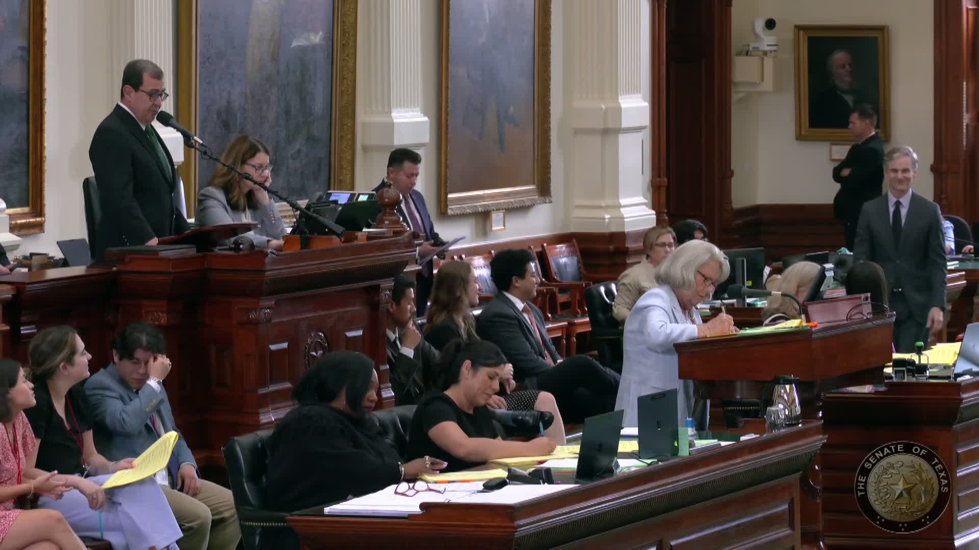 Senate creates Health Professions Workforce Coordinating Council; measure passes over opposition