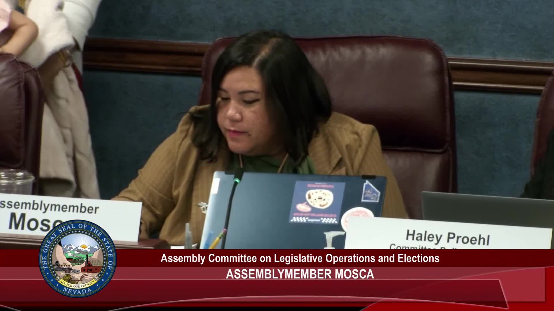 Assembly committee amends and recommends do-pass on SB 100, setting Secretary of State duties and vendor approvals