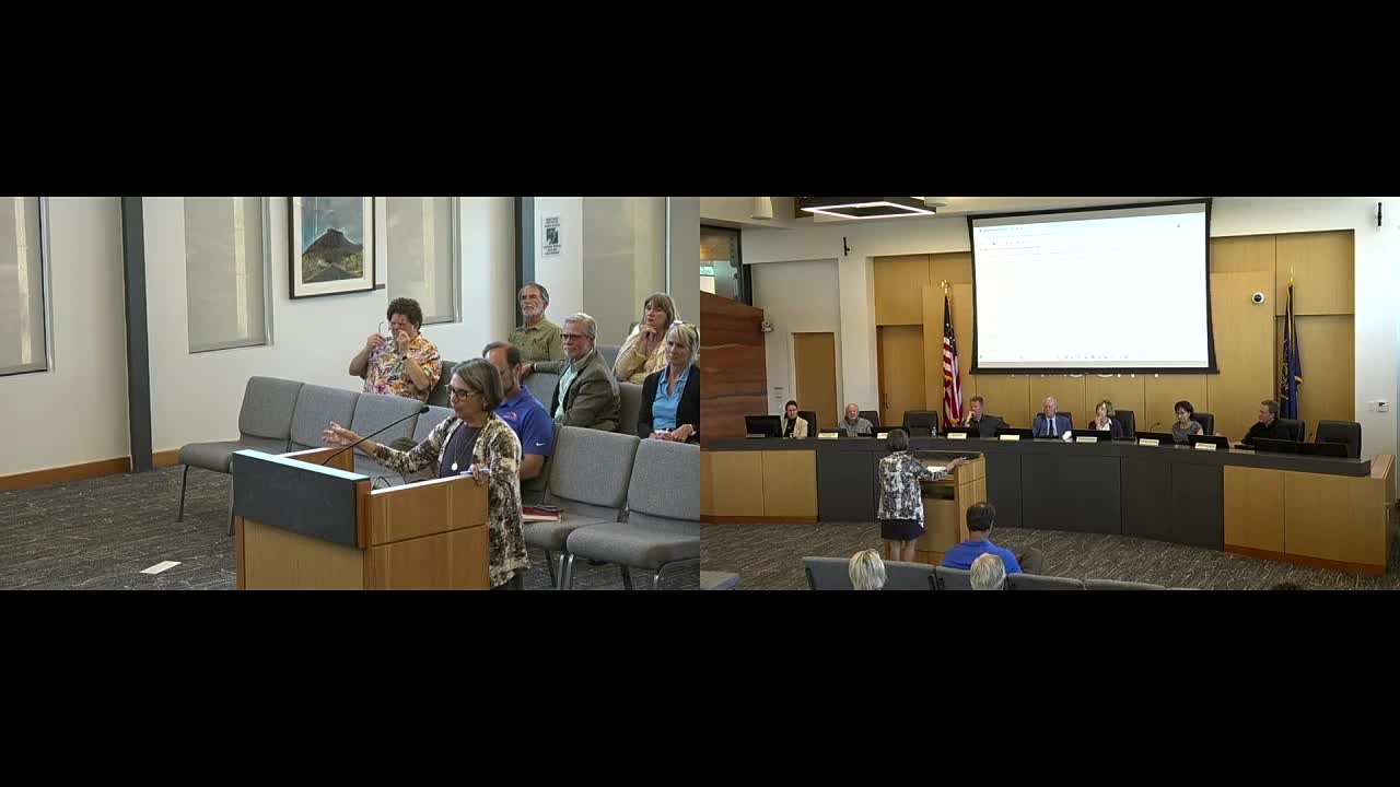 Ivan City Council discusses arts funding proposals and community art drive