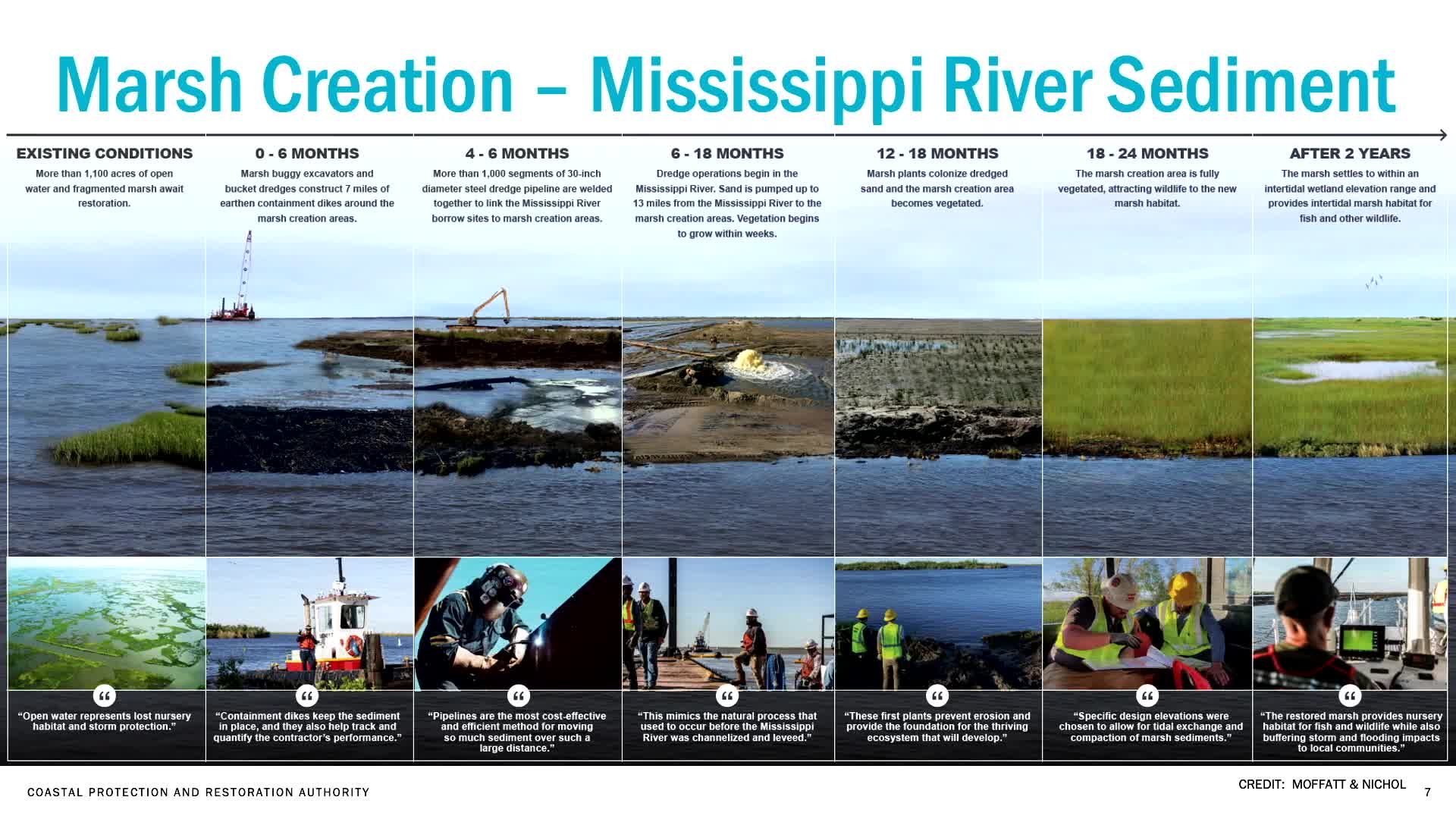 Ecological project yields healthy marsh in two years from Mississippi River sediment