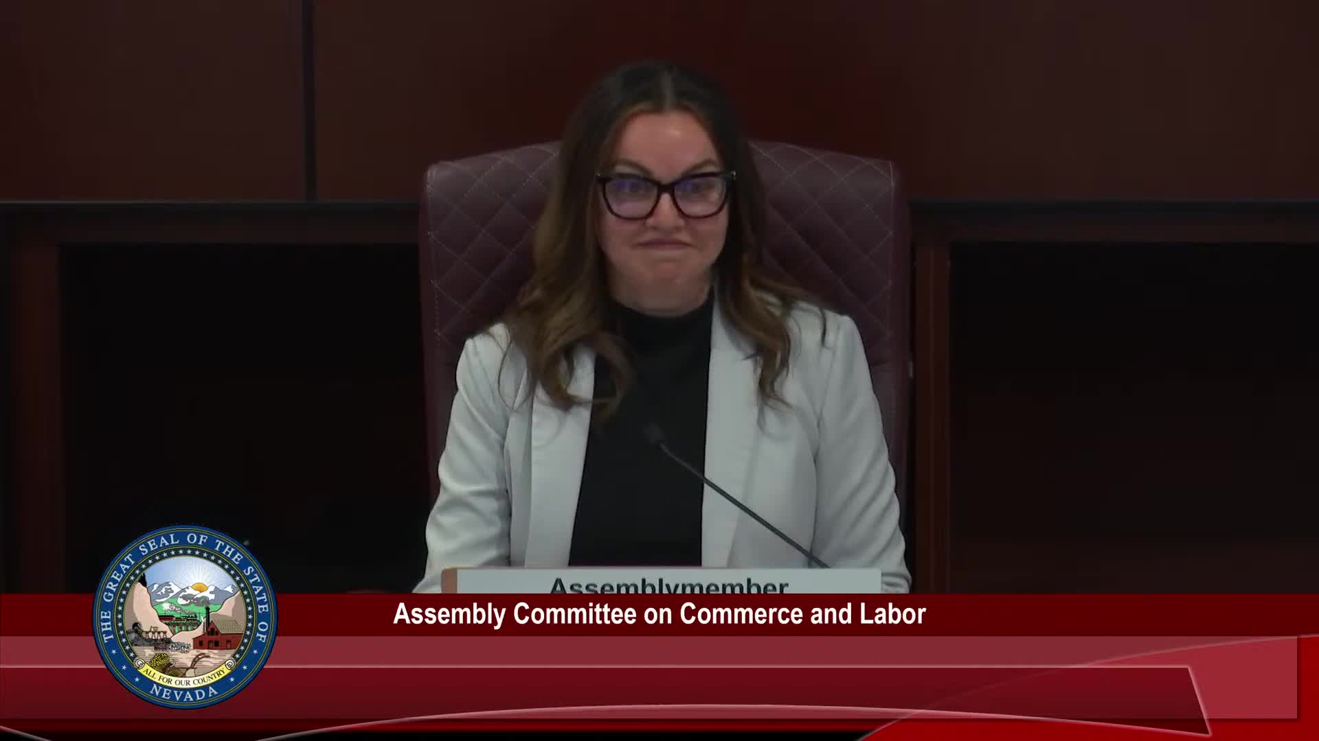 Commerce and Labor committee advances two dozen bills; key debates on transgender shield law, Medigap amendment and housing protections