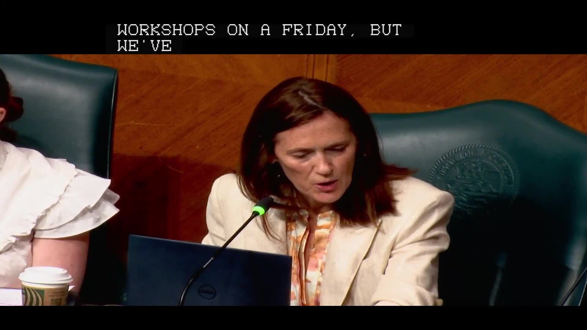Houston Parks Director calls for increased funding amid budget cuts