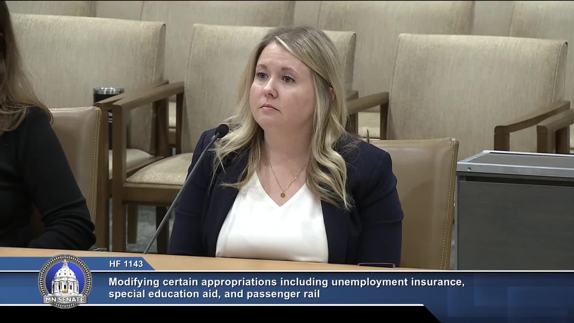 Minnesota Senate shifts $2B from special education aid to school unemployment account