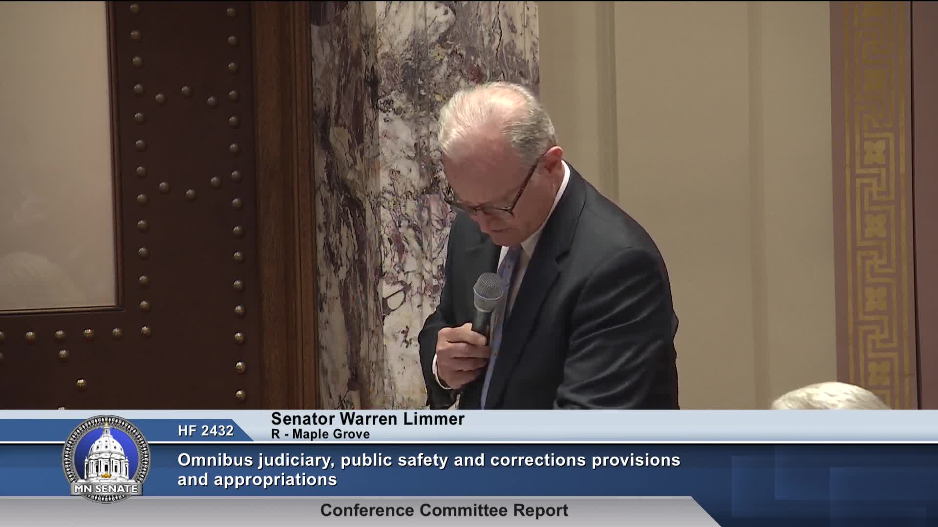 Minnesota Senate debates police training funding amid executive branch influence