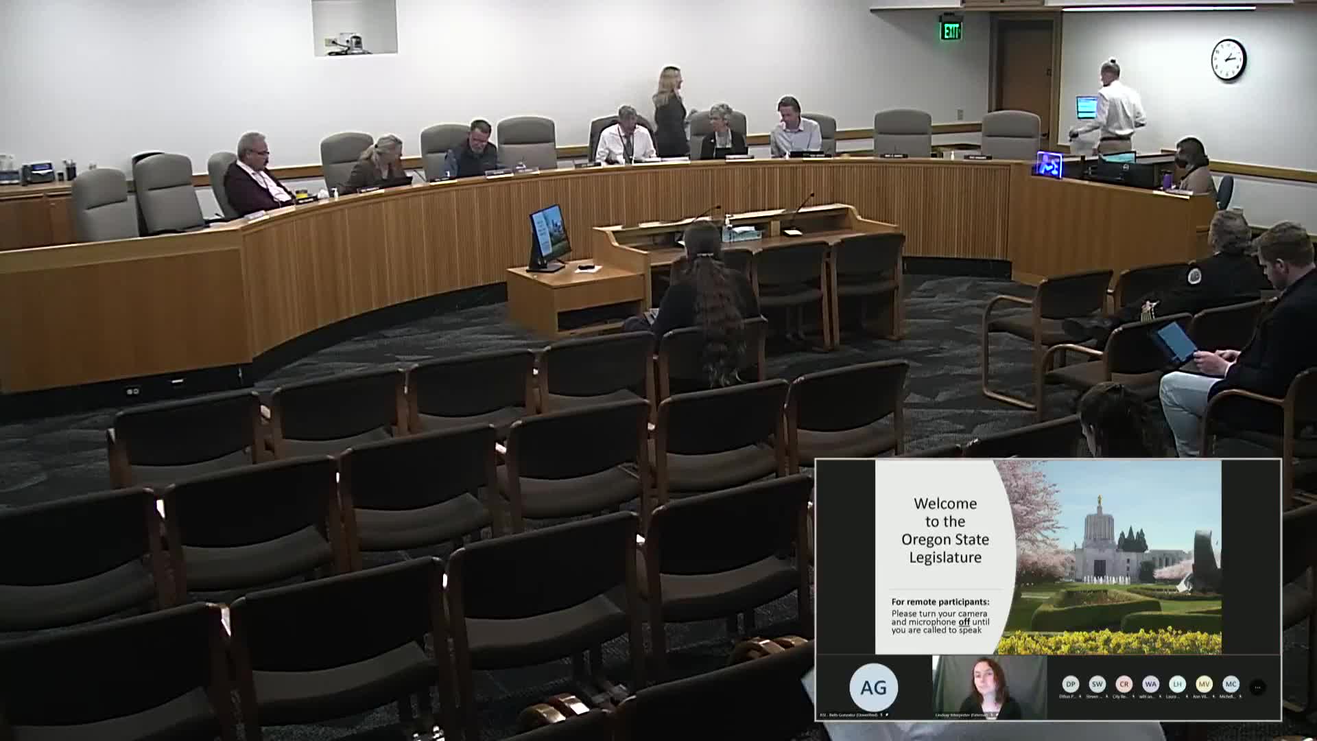 Subcommittee holds marathon hearing on lottery bond requests in SB 5531; dozens of local projects seek funding