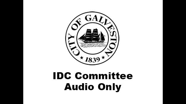 Galveston City Council proposes $250K business incentive program for economic growth