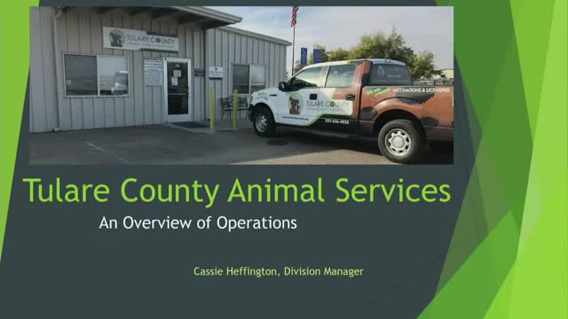 Tulare County Animal Services outlines operations amid rising intake and staffing challenges