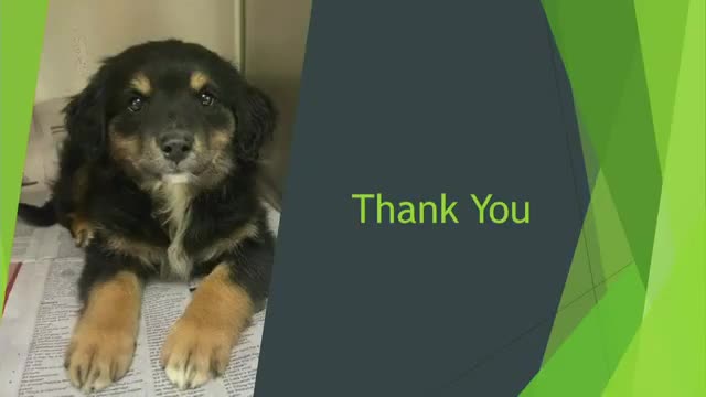 Supervisor Shuckley praises animal welfare team's efforts at San Francisco SPCA