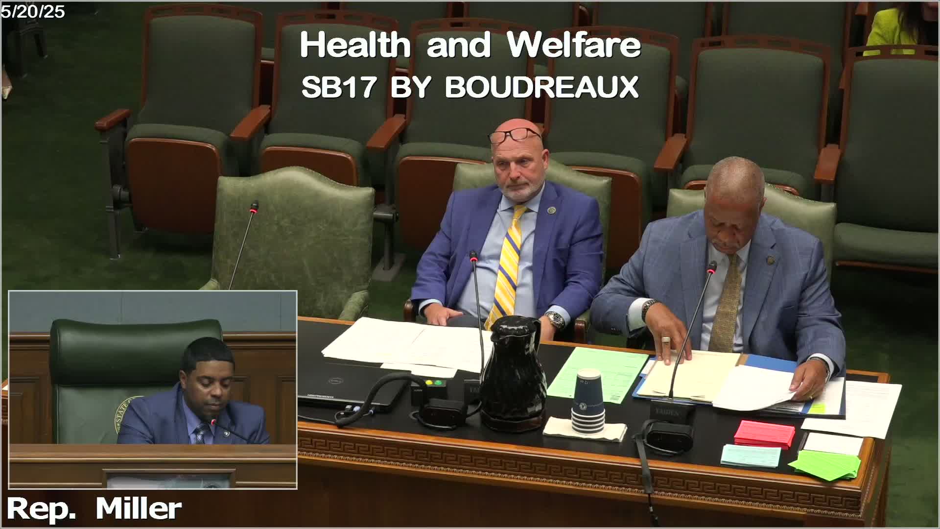 Committee drops termination date for palliative care interdisciplinary advisory council