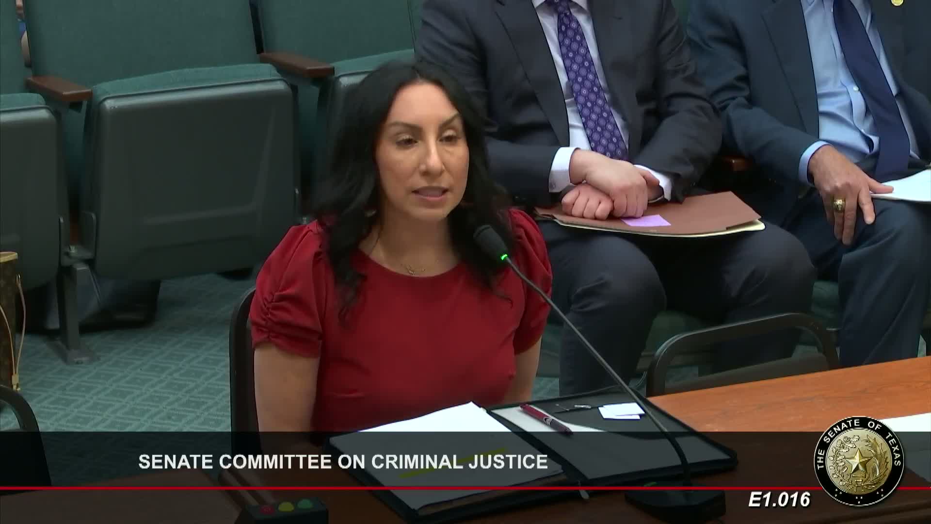 Texas Legislative Task Force Advances Survivor Care Bill and Competency Hearing Reform