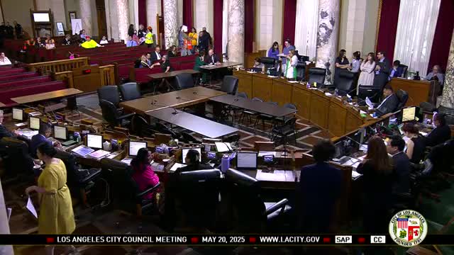 LA City Council hears volatile homelessness remarks amid public comment session