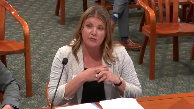 Local Agencies Request State Funding Increase for Youth Services