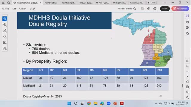 Michigan launches doula registry to enhance maternal health support
