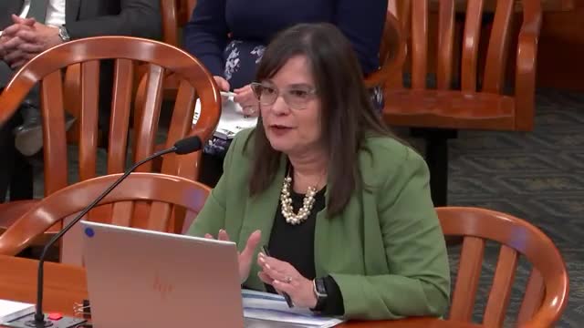 Michigan Council addresses maternal and infant health issues with new data tracking initiatives