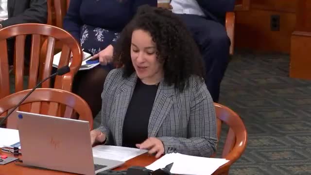 Michigan health officials unveil maternal health program funding details