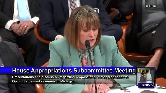 Michigan leaders discuss sustainable funding for recovery community services