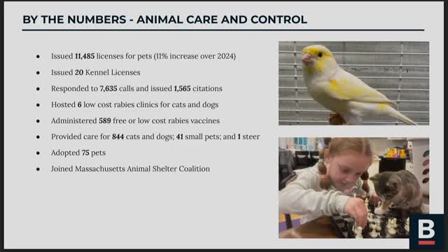 Boston officials plan multiple park improvements despite winter challenges from bird flu