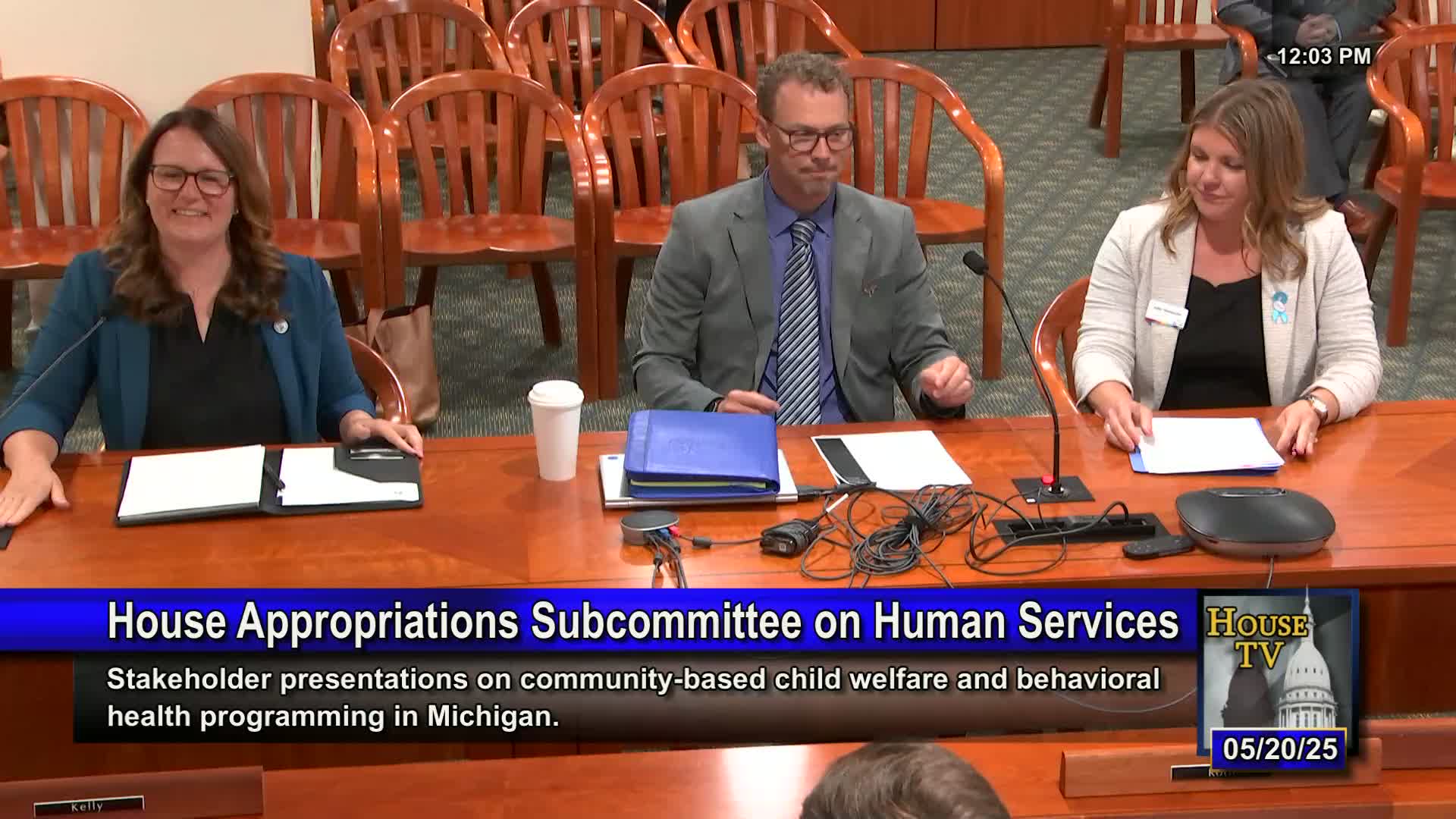 Michigan child-welfare providers ask appropriators to close funding gaps for foster care, adoption and independent-living programs