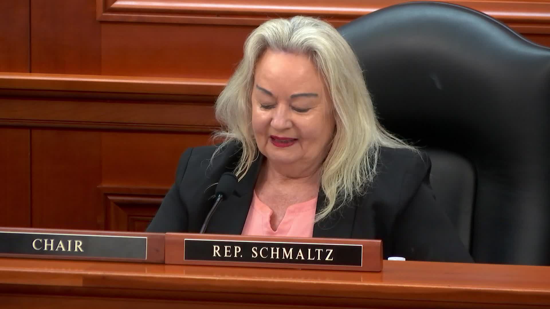 Pediatrician tells committee Rx Kids cash prescriptions linked to earlier prenatal care, lower smoking and fewer child‑welfare allegations