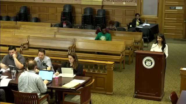 Jersey City Council approves contracts for Barrow Street playground amid safety concerns