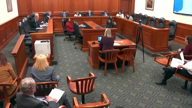 Harmony Lloyd outlines Michigan transit services at public meeting
