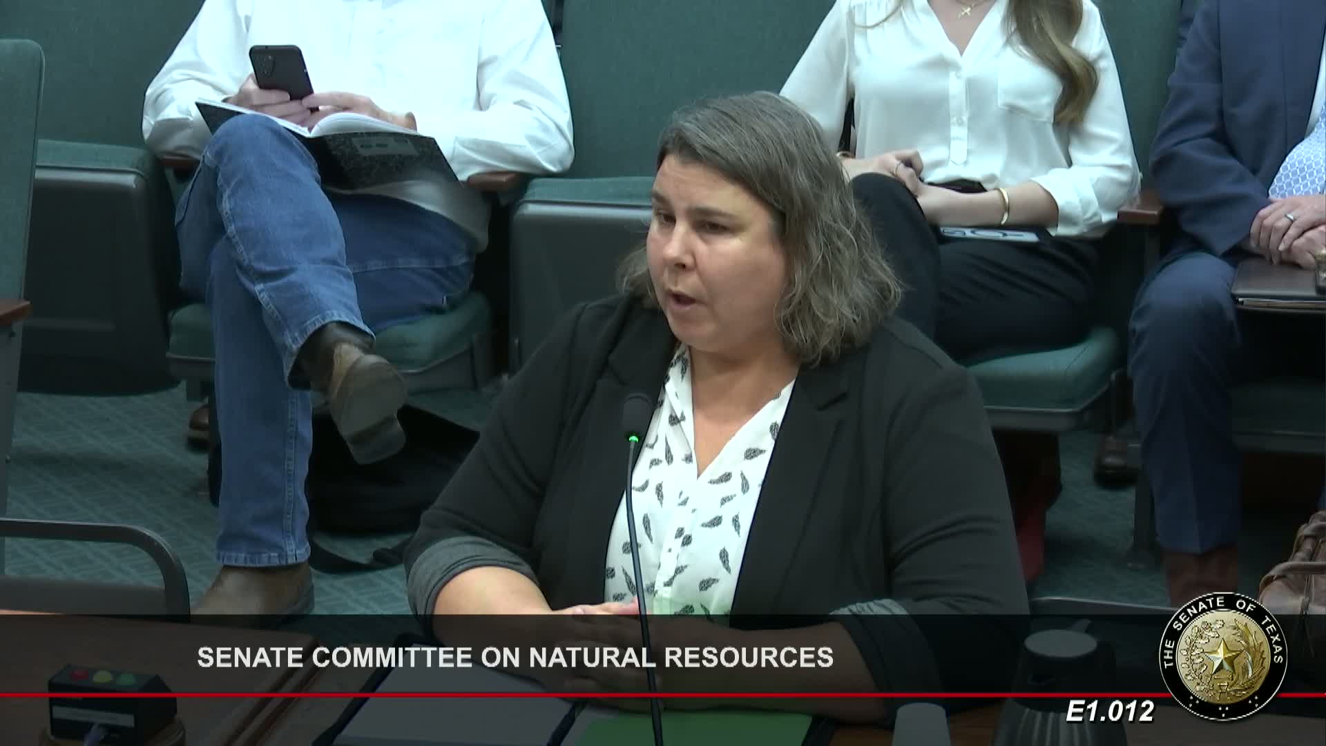 Texas Senate Committee weighs wildlife protections amid wind energy expansion debate