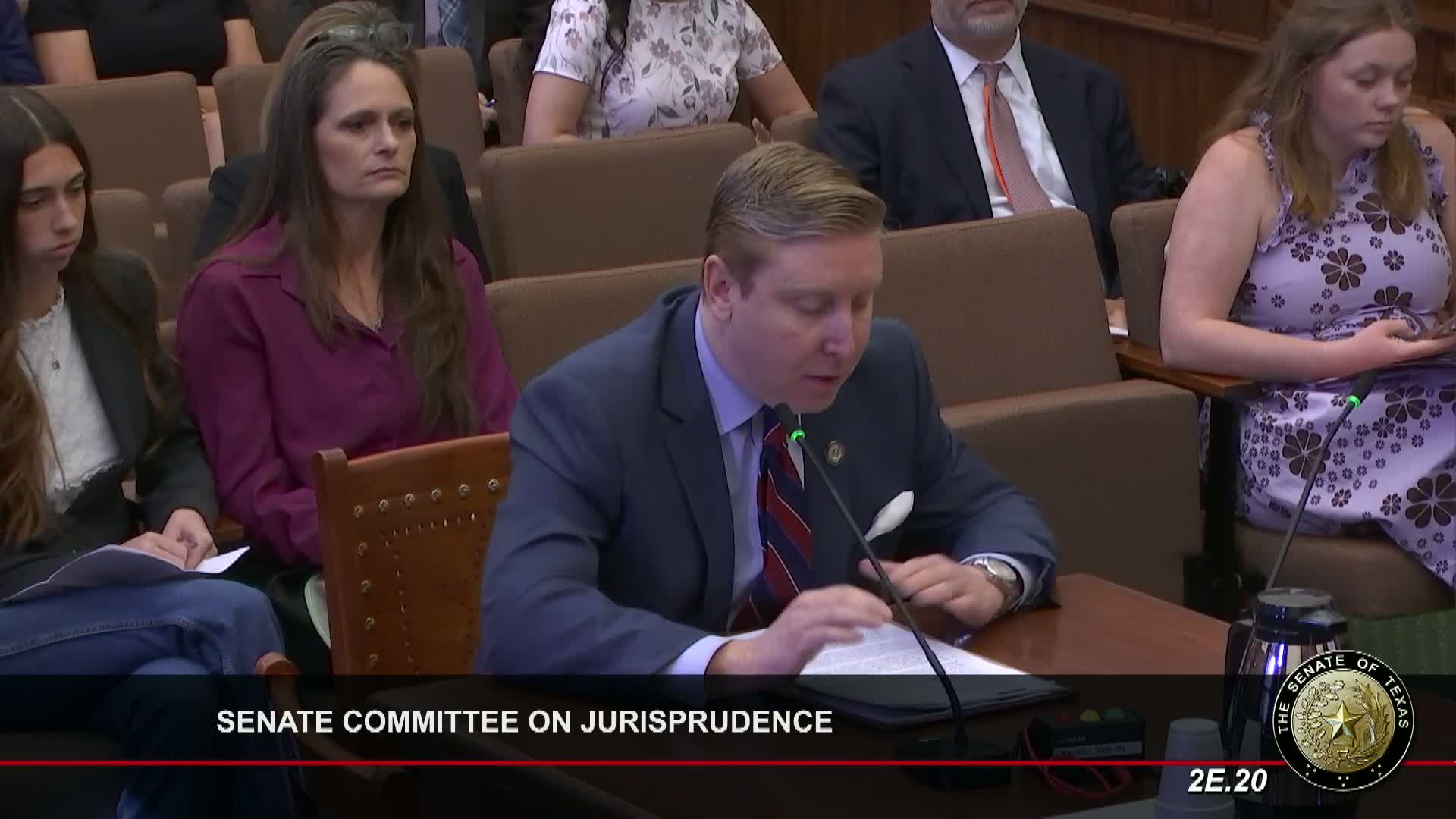 Senate Bill 3783 seeks to ban coercive reunification therapy in Texas family courts