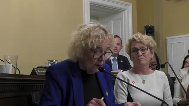 House rules hearing spotlights how reconciliation changes could strip Medicaid, food aid from millions