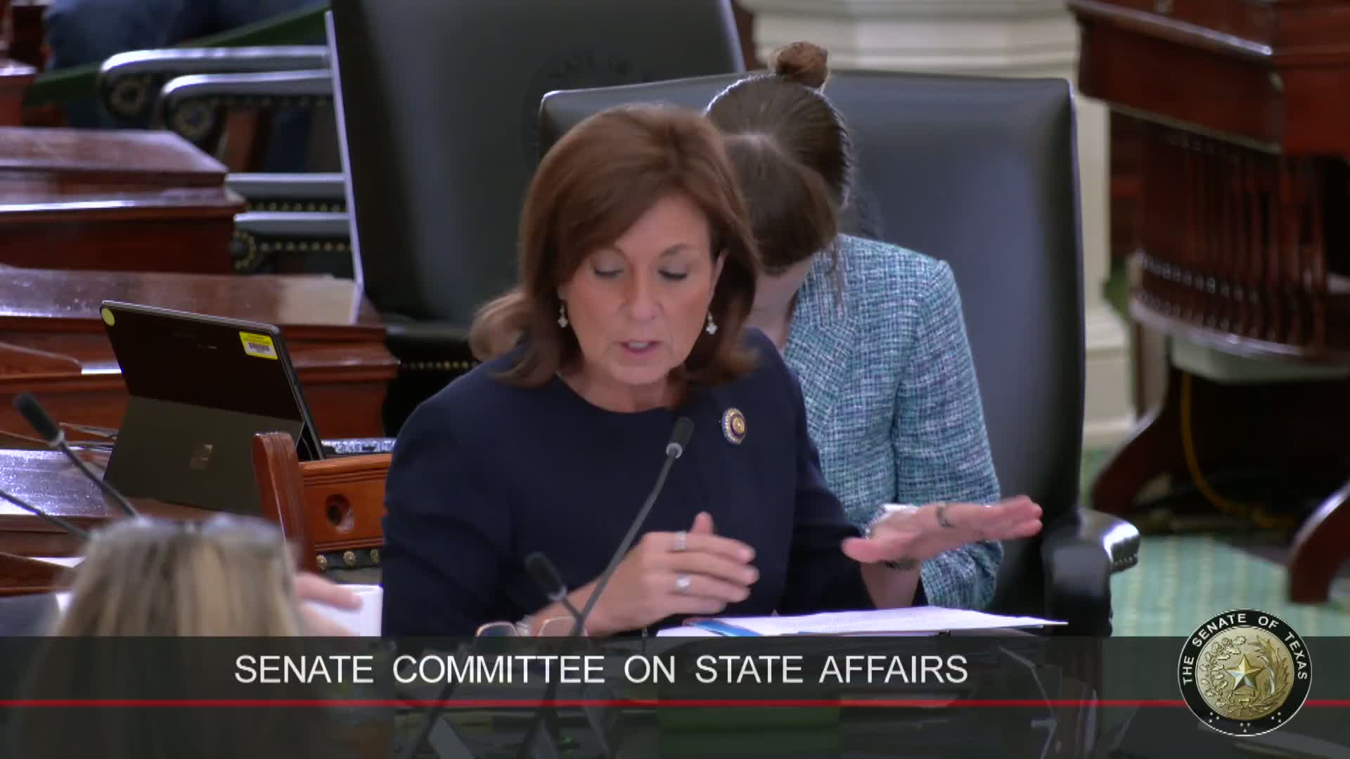 Texas wine industry debates proposed House Bill 33 85 amid crop and permit challenges